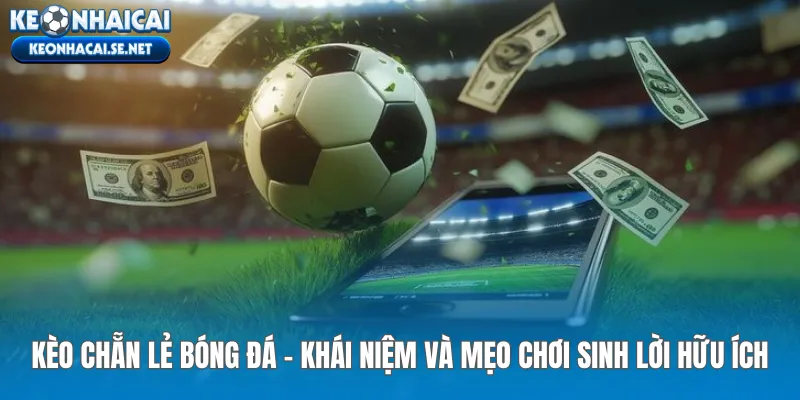 Kèo Chẵn Lẻ Bóng Đá